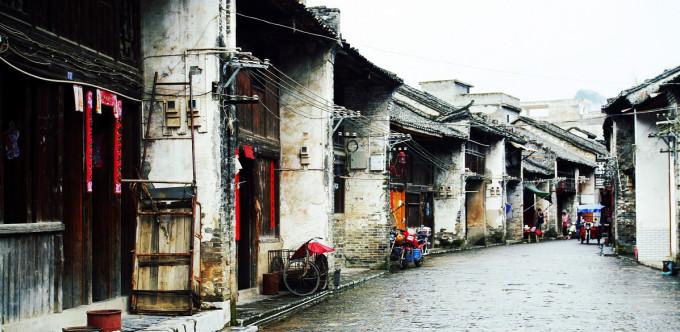 税惠浇灌 “长安花”越开越旺